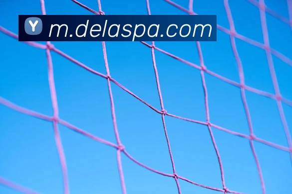 pa视讯服务体系